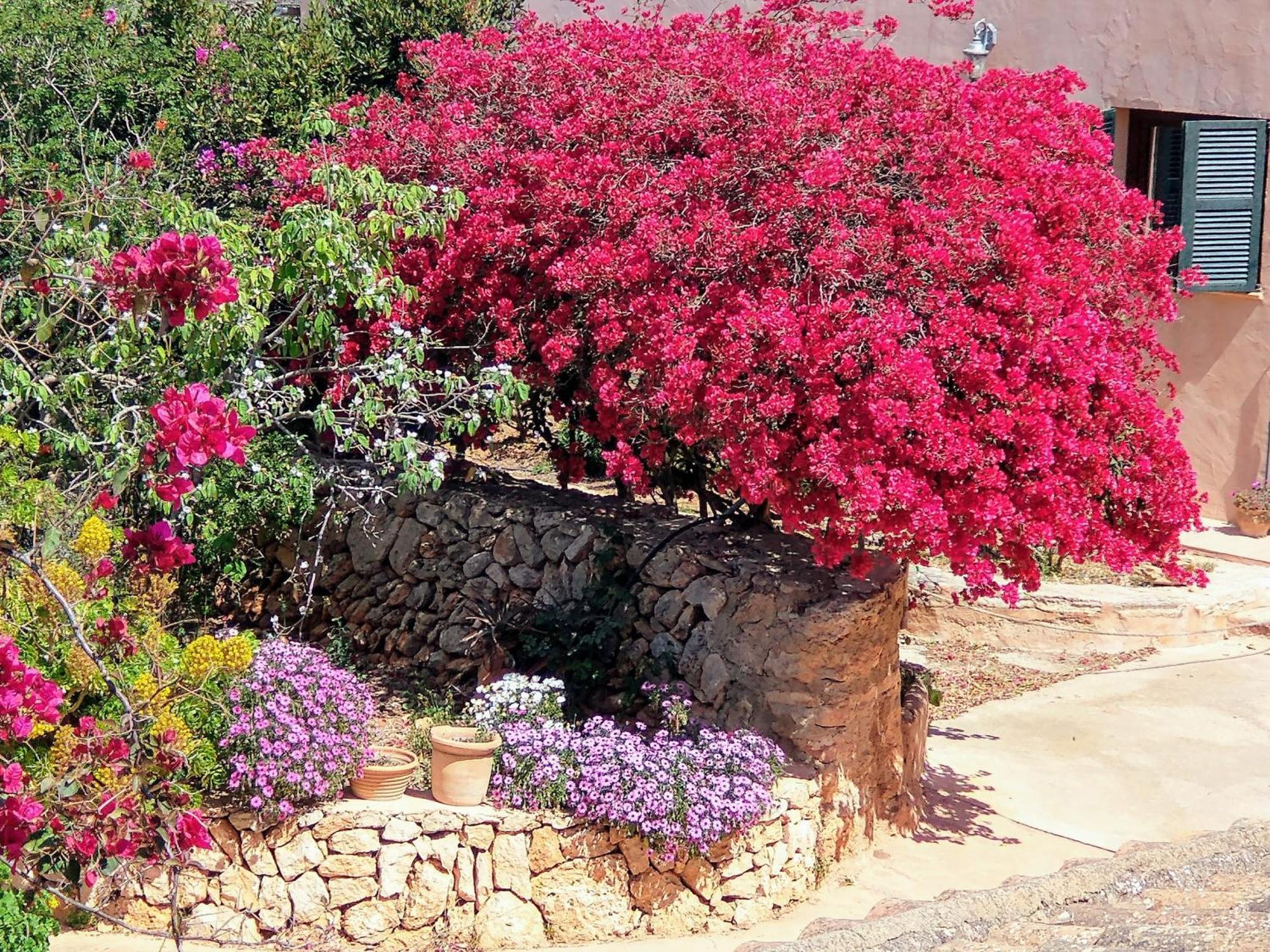 Finca Son Marimon (Adults Only) Santanyí Dış mekan fotoğraf