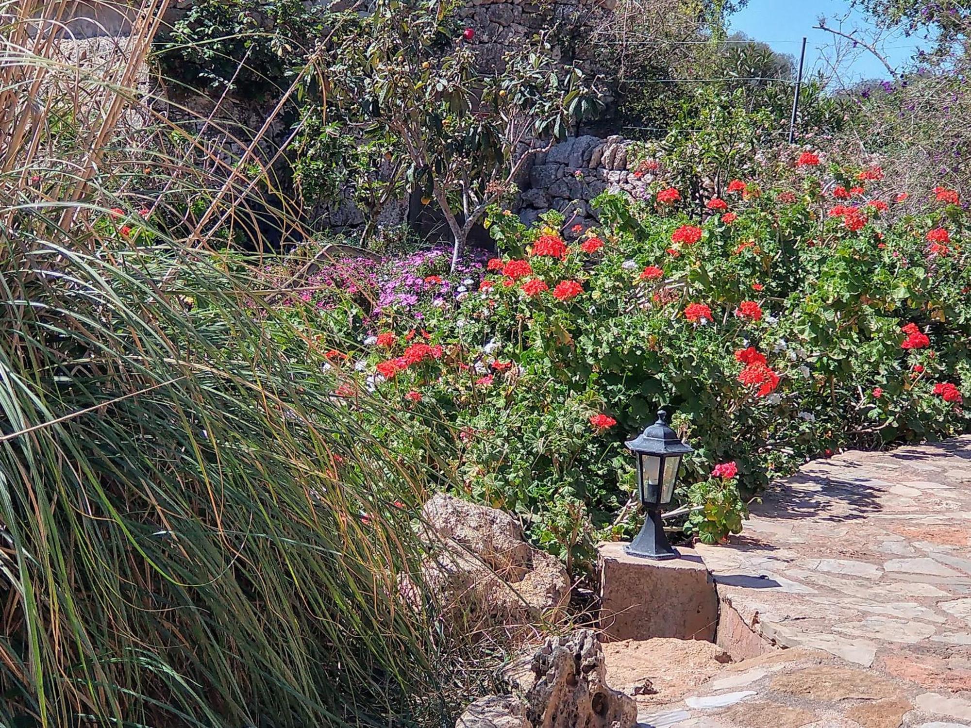 Finca Son Marimon (Adults Only) Santanyí Dış mekan fotoğraf