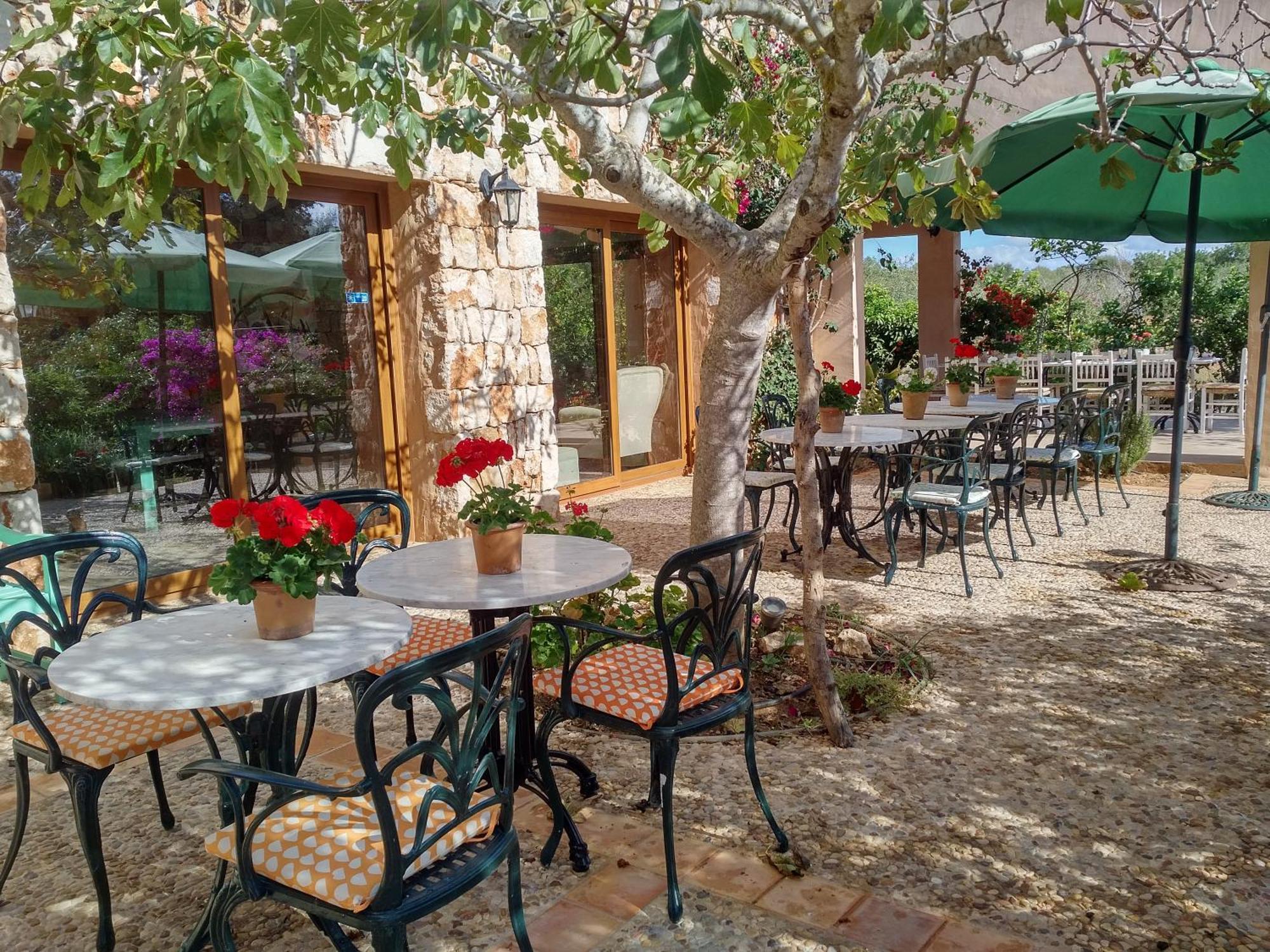 Finca Son Marimon (Adults Only) Santanyí Dış mekan fotoğraf
