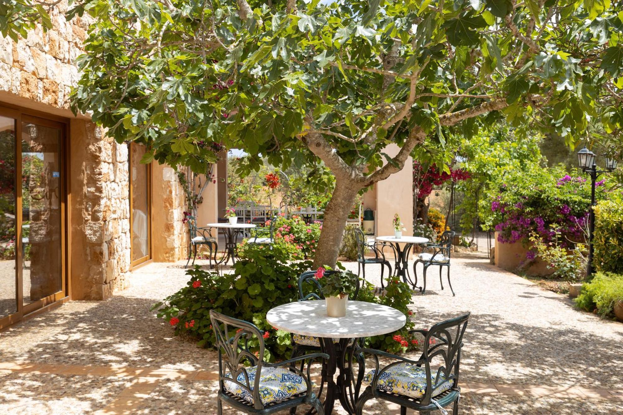 Finca Son Marimon (Adults Only) Santanyí Dış mekan fotoğraf